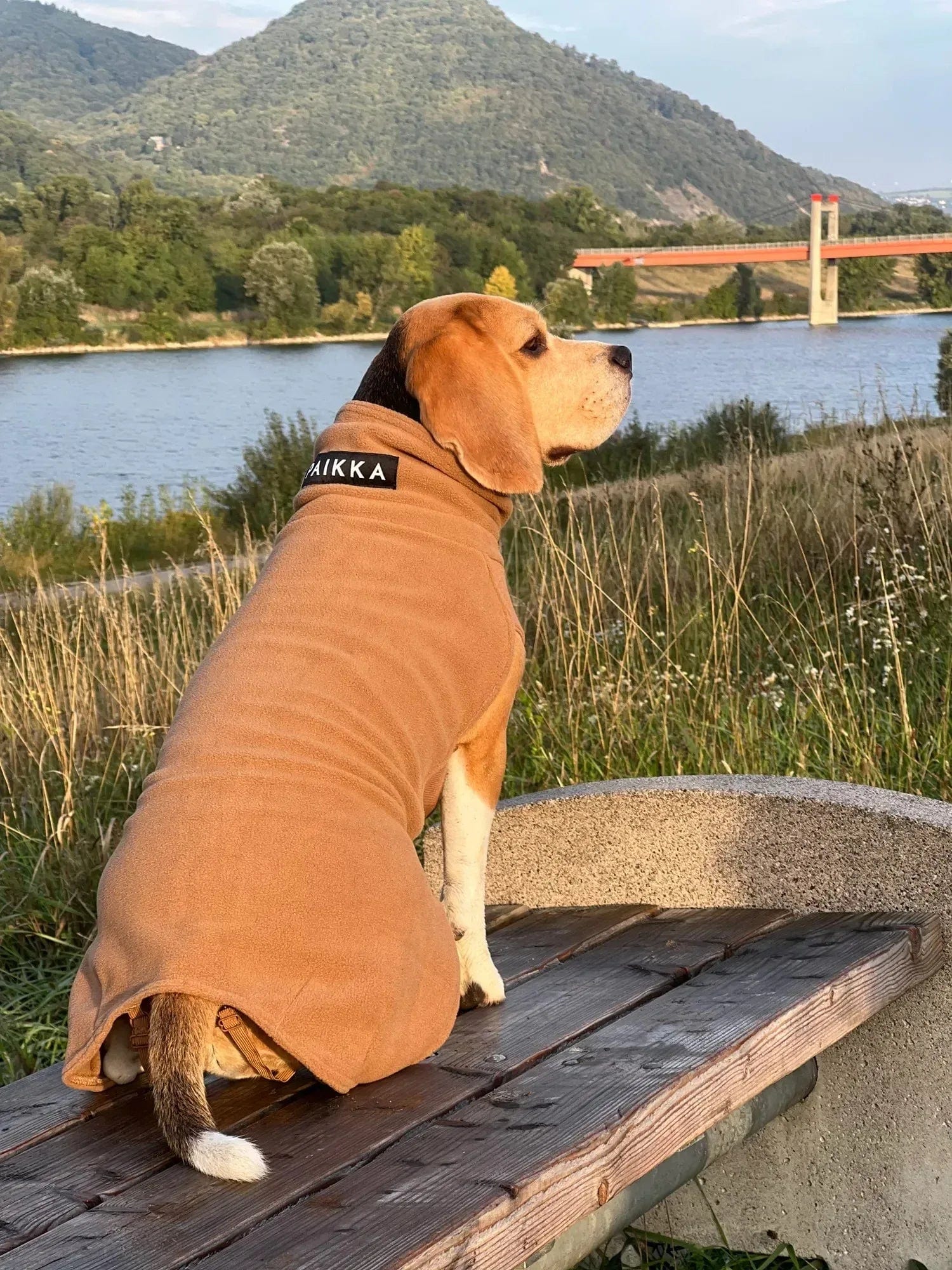 Paikka Seawool Hundeshirt Brown - Beagletuff