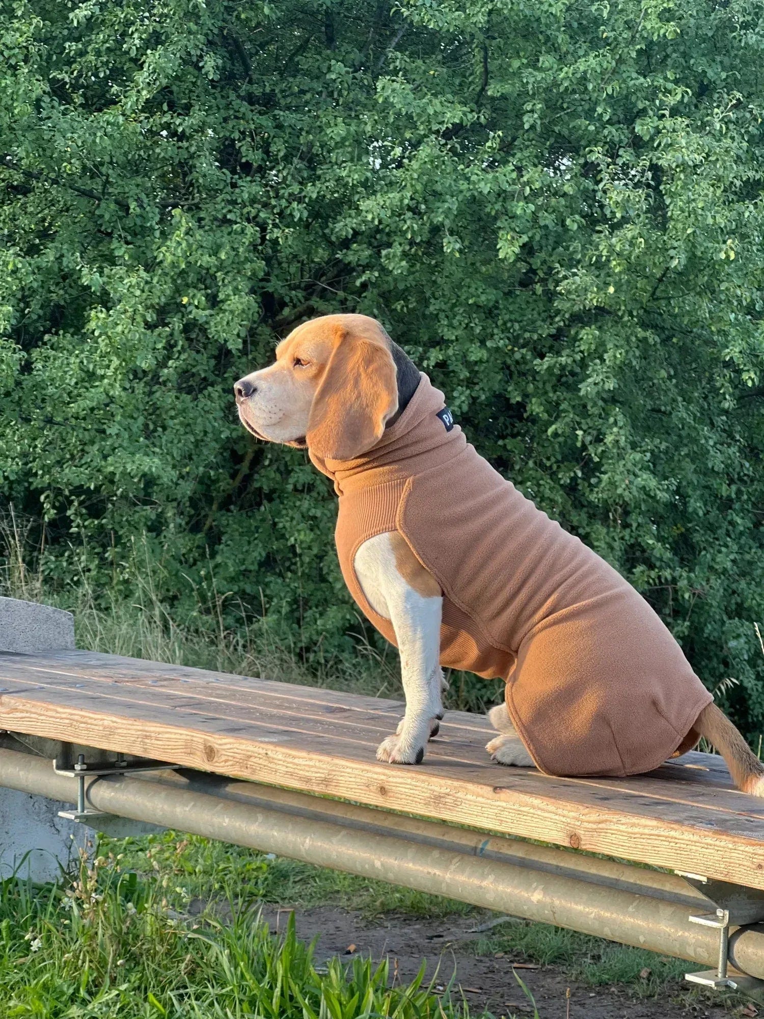 Paikka Seawool Hundeshirt Brown - Beagletuff