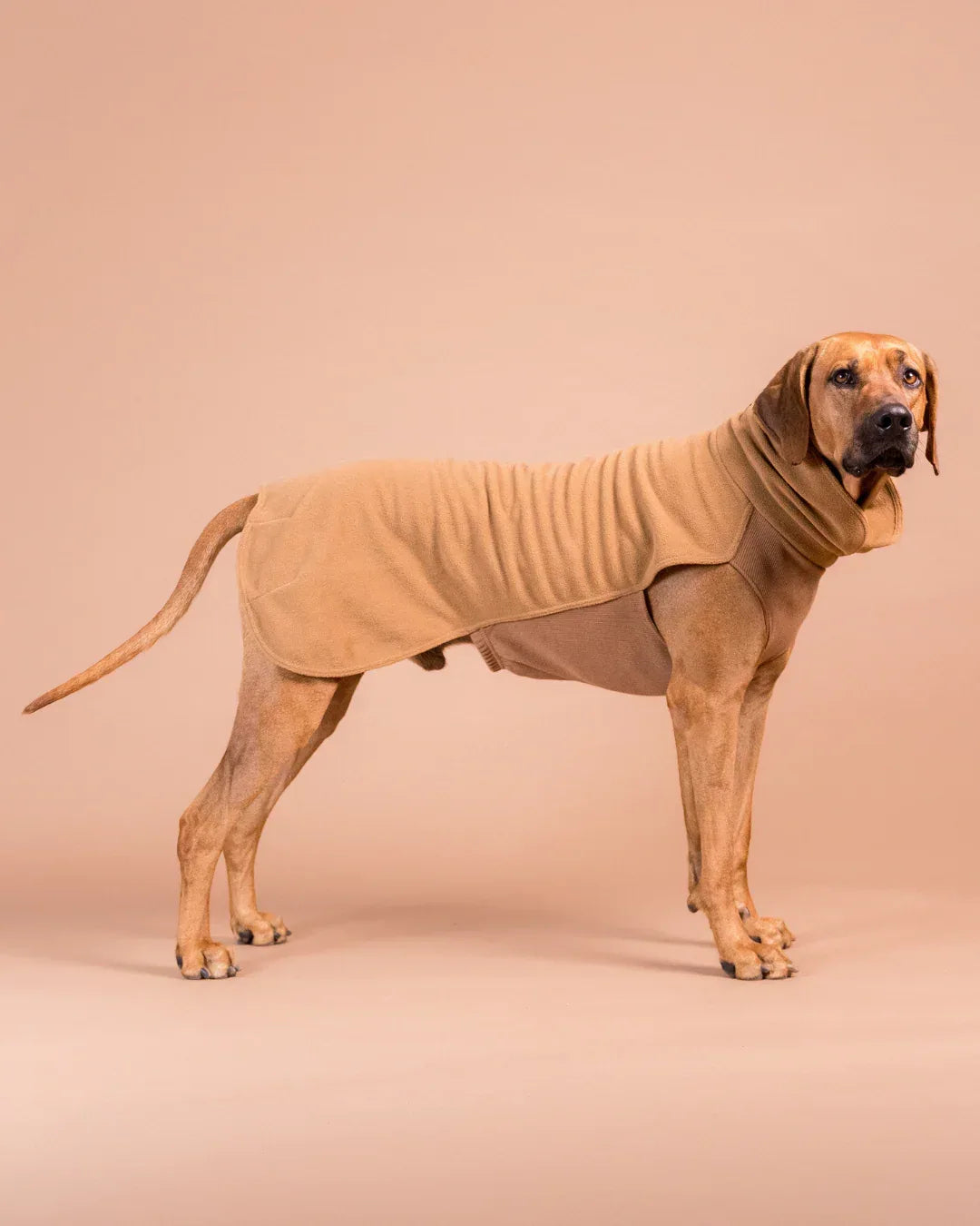 Paikka Seawool Hundeshirt Brown - Beagletuff