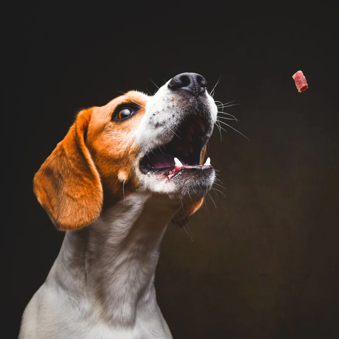 Baltic Biscuits Trainee's Buchweizen - Rote Beete