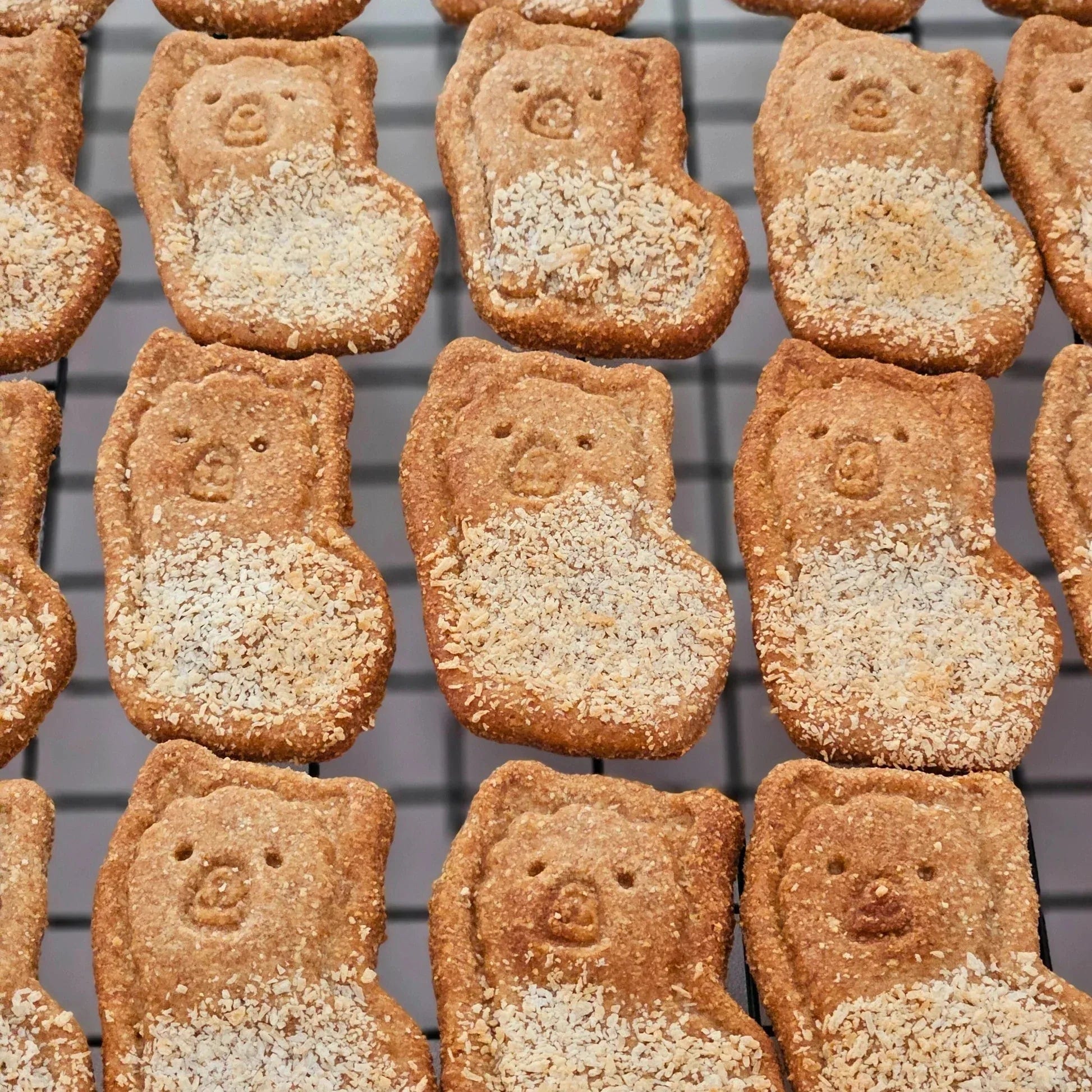 Reihe von braunen Hundekeksen in Bärenform mit Gesichtsdetails, bestreut mit hellen Kokosraspeln, auf einem schwarzen Abkühlgitter mit Knusp