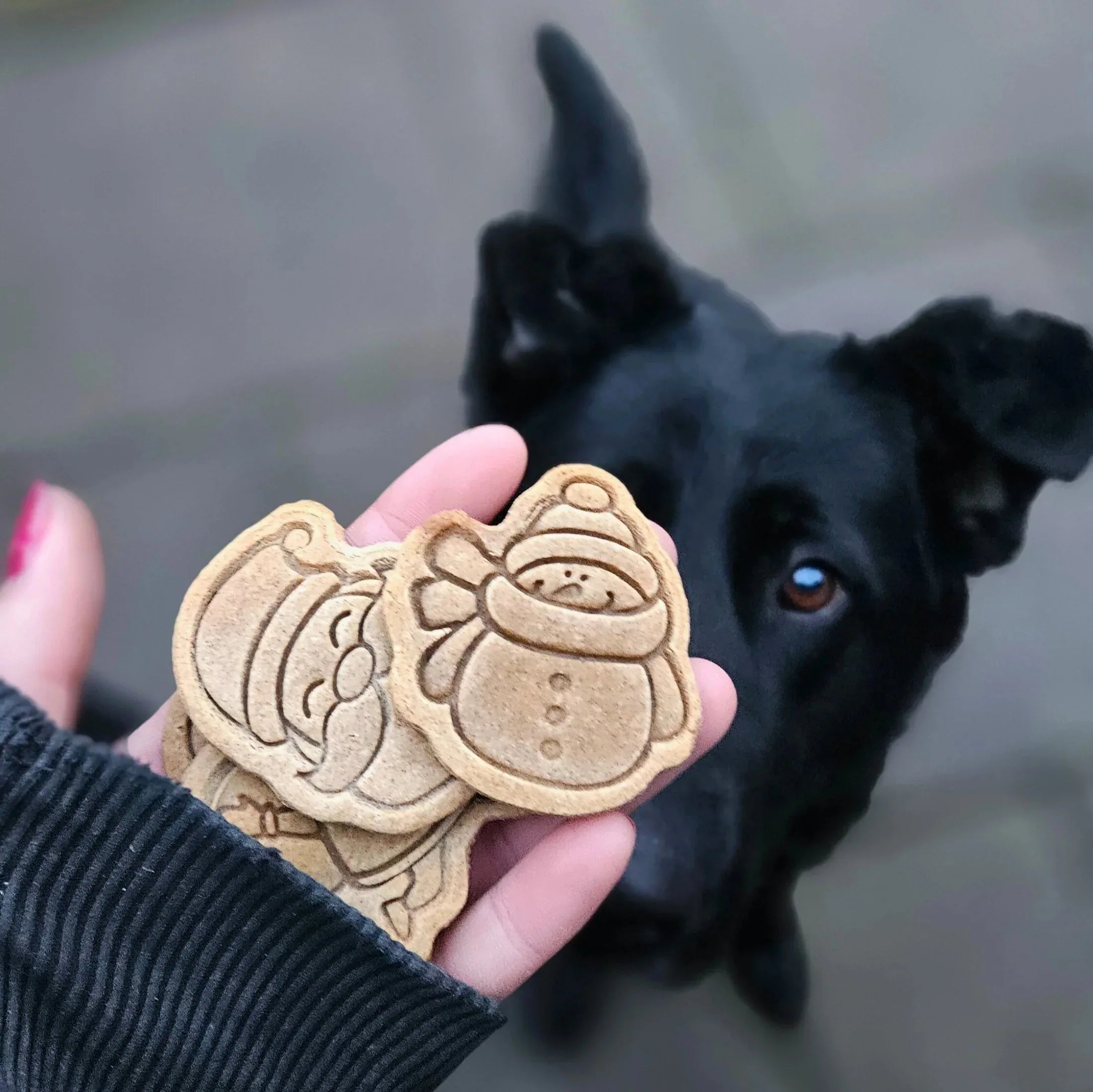 Baltic Biscuits Bratapfel Kekse - Beagletuff