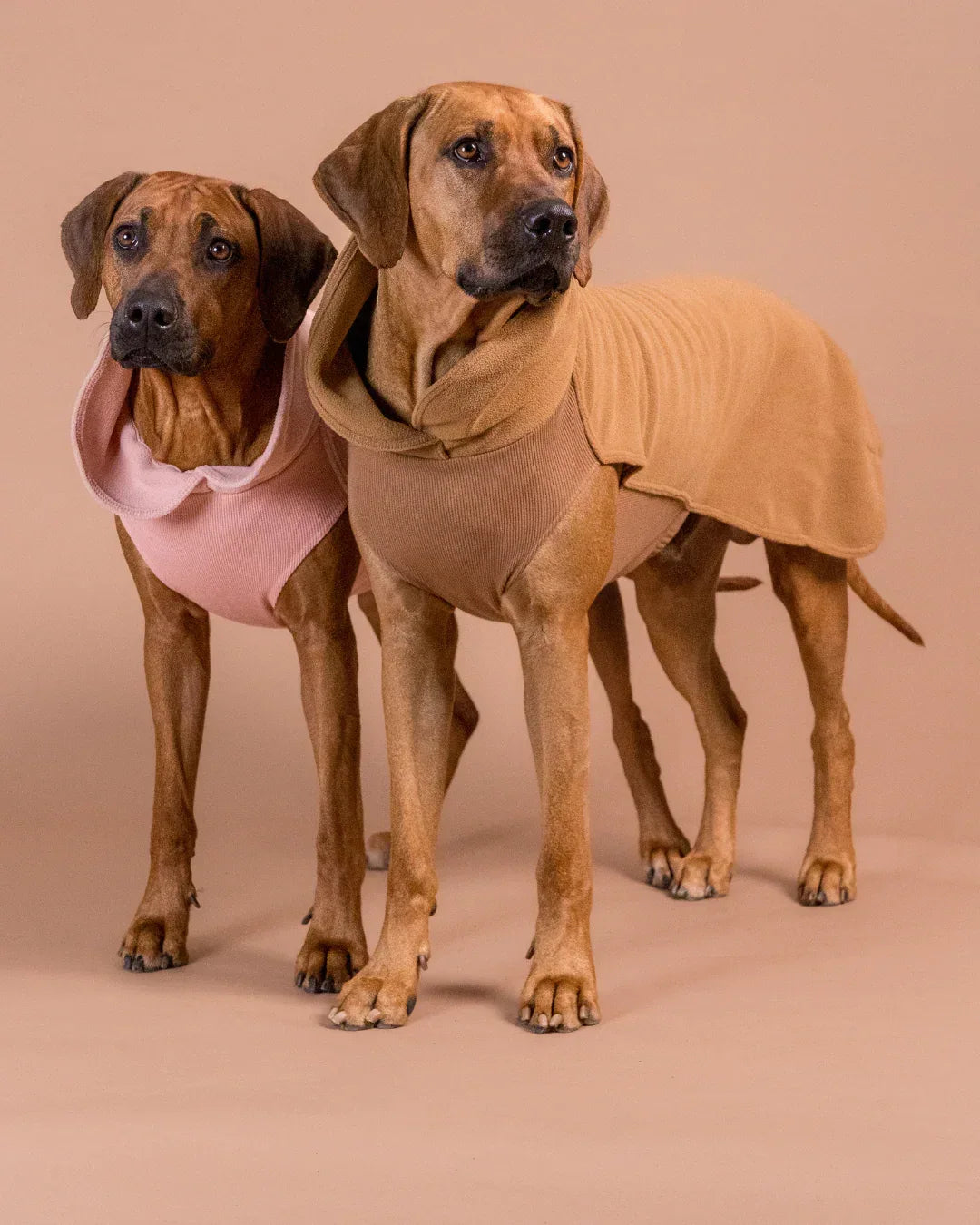 Paikka Seawool Hundeshirt Brown - Beagletuff