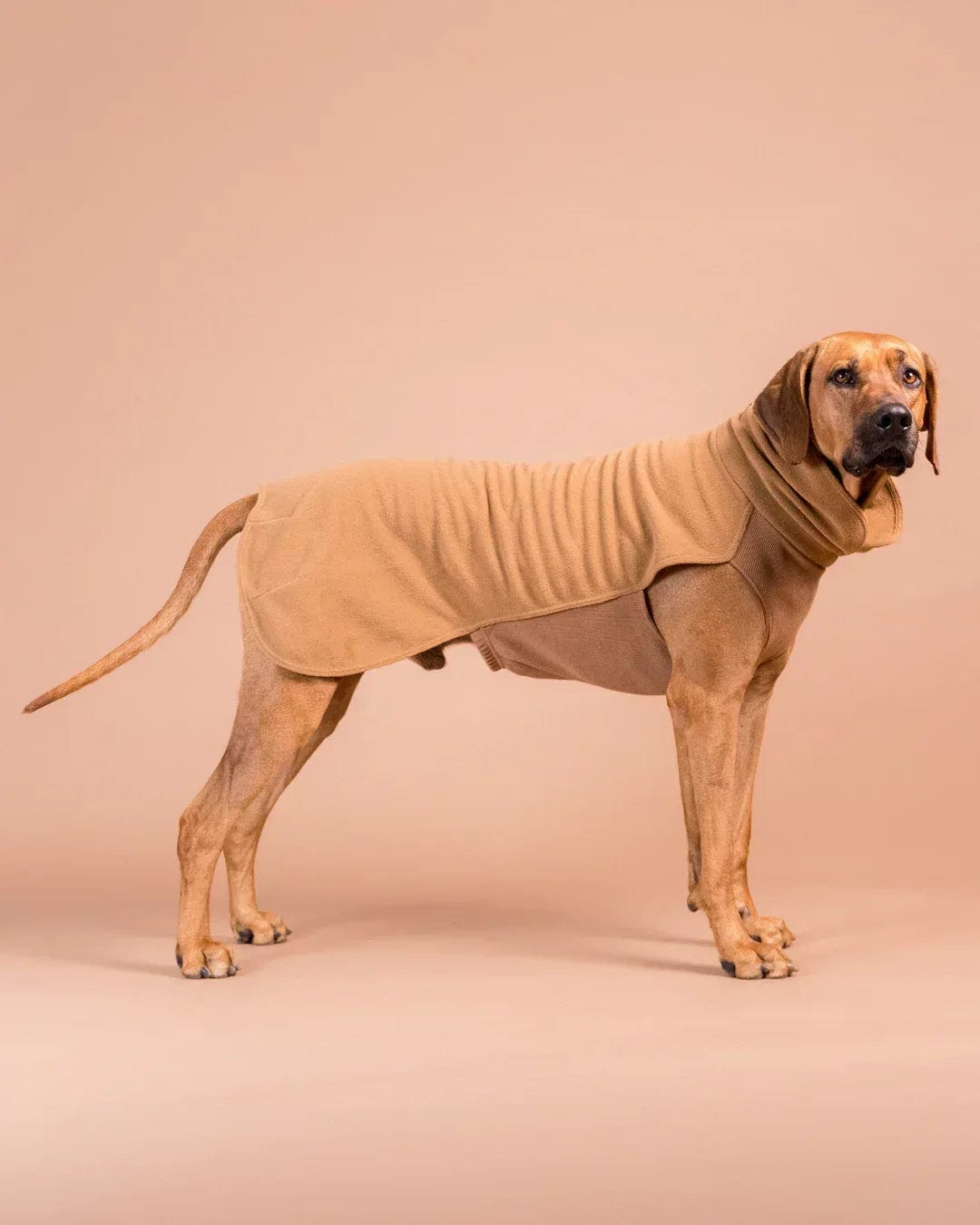 Paikka Seawool Hundeshirt Brown - Beagletuff