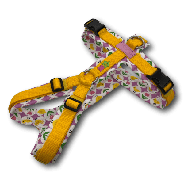 Y-Geschirr BT EasyWalk® gelb bunt - Beagletuff