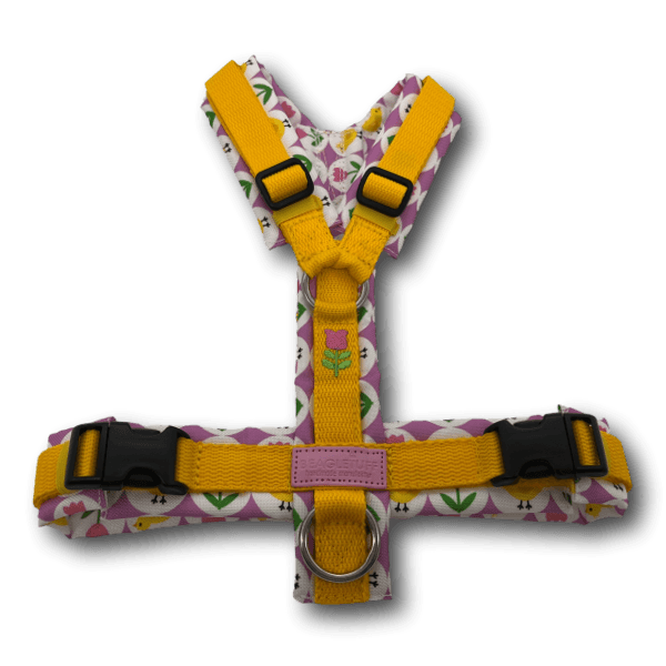 Y-Geschirr BT EasyWalk® gelb bunt - Beagletuff