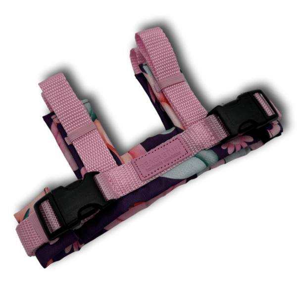 Adapter SafetyFlex - Beagletuff