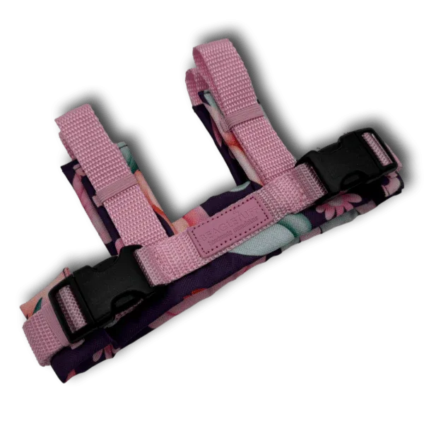 Adapter SafetyFlex - Beagletuff