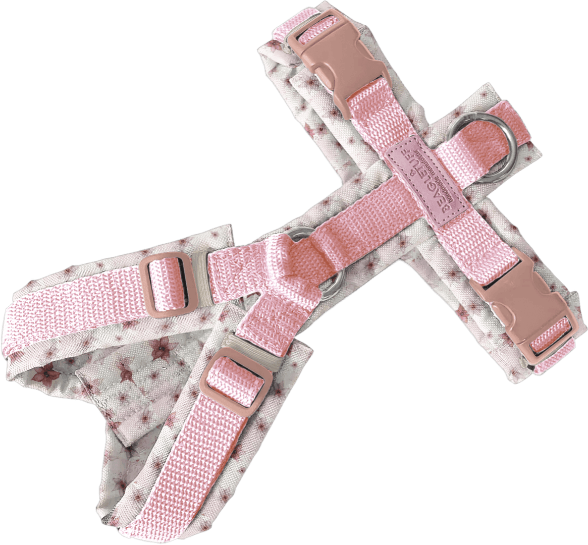 BT EasyWalk® Standard – Drachenblume Rosa (ZDG Roségold) - Beagletuff