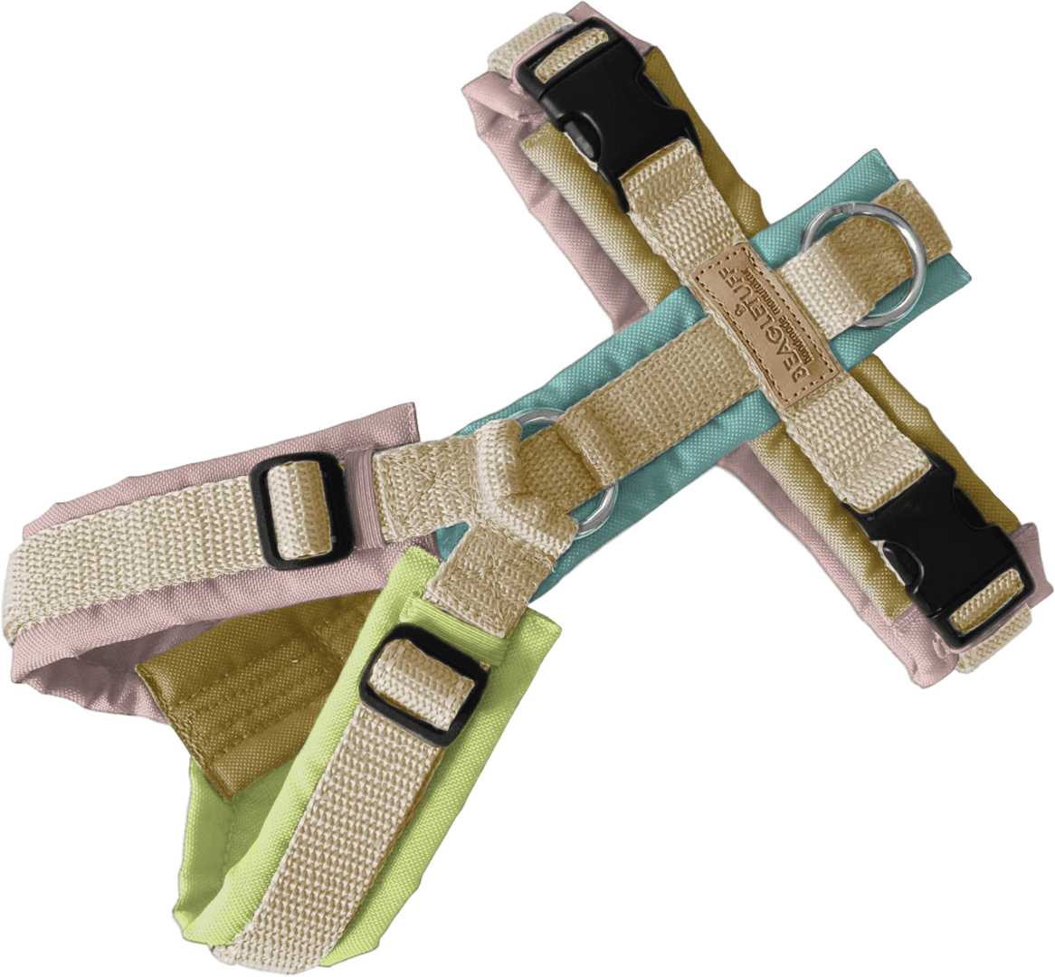 BT EasyWalk® Bunt – Pastell Edition - Beagletuff