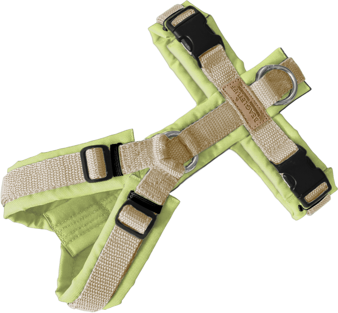 BT EasyWalk® Standard – Uni Lindgrün/Beige - Beagletuff