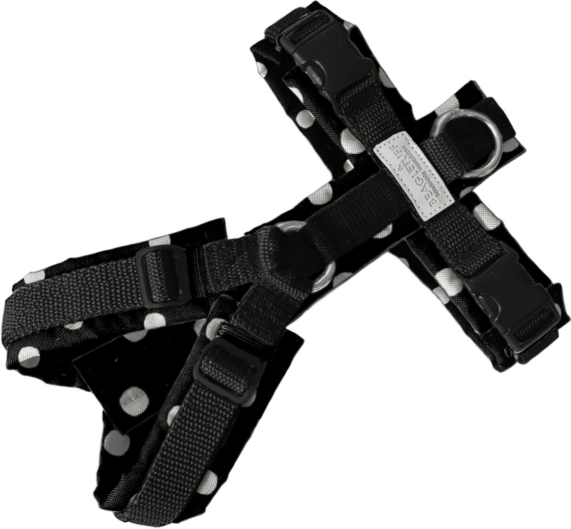 BT EasyWalk® Standard – Punkte Schwarz/Weiß - Beagletuff