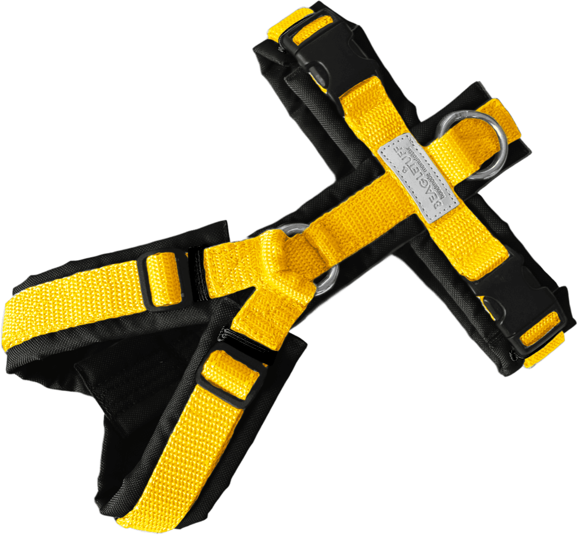 BT EasyWalk® Standard – Uni Gelb/Schwarz - Beagletuff