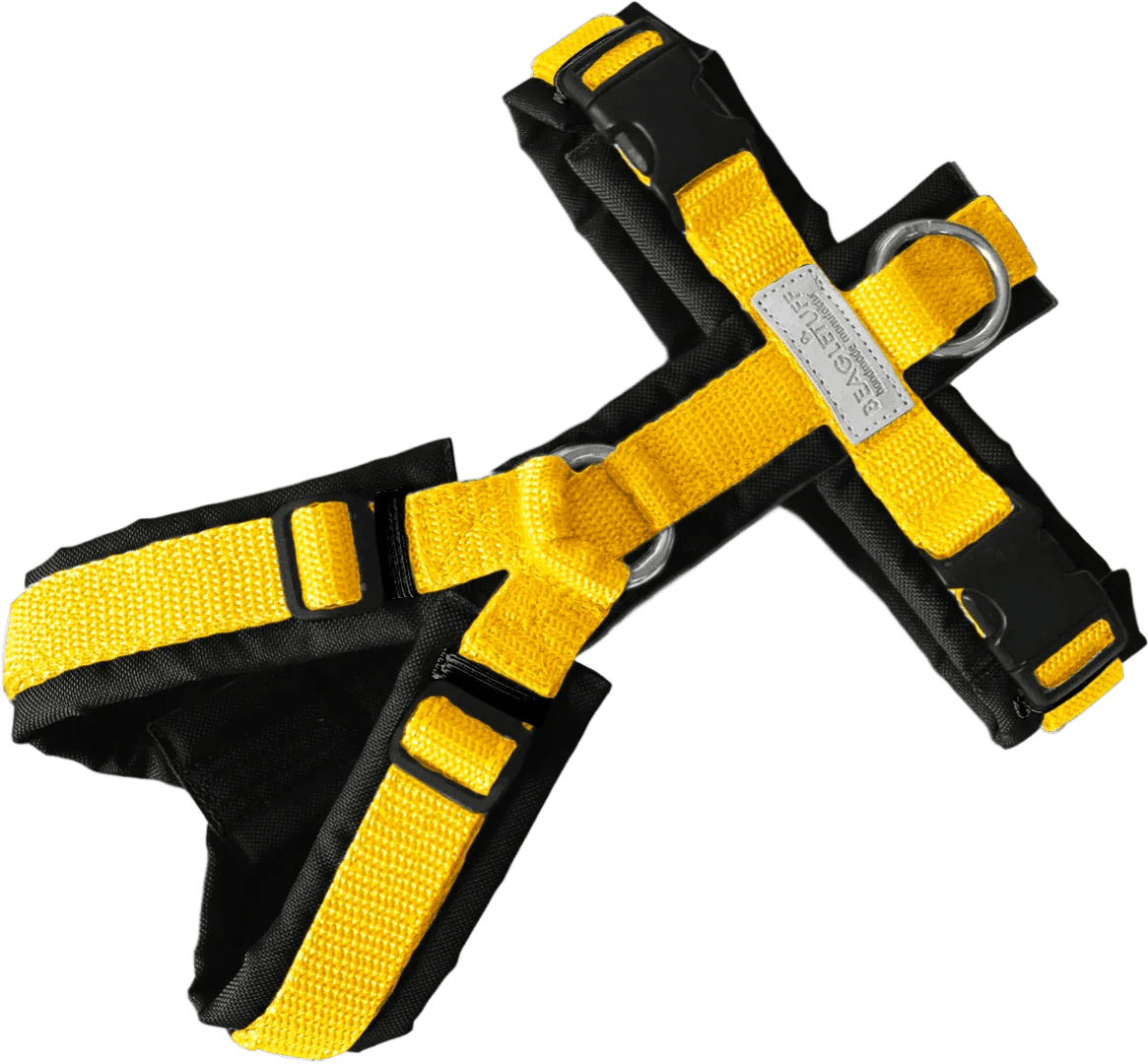 BT EasyWalk® Standard – Uni Gelb/Schwarz - Beagletuff