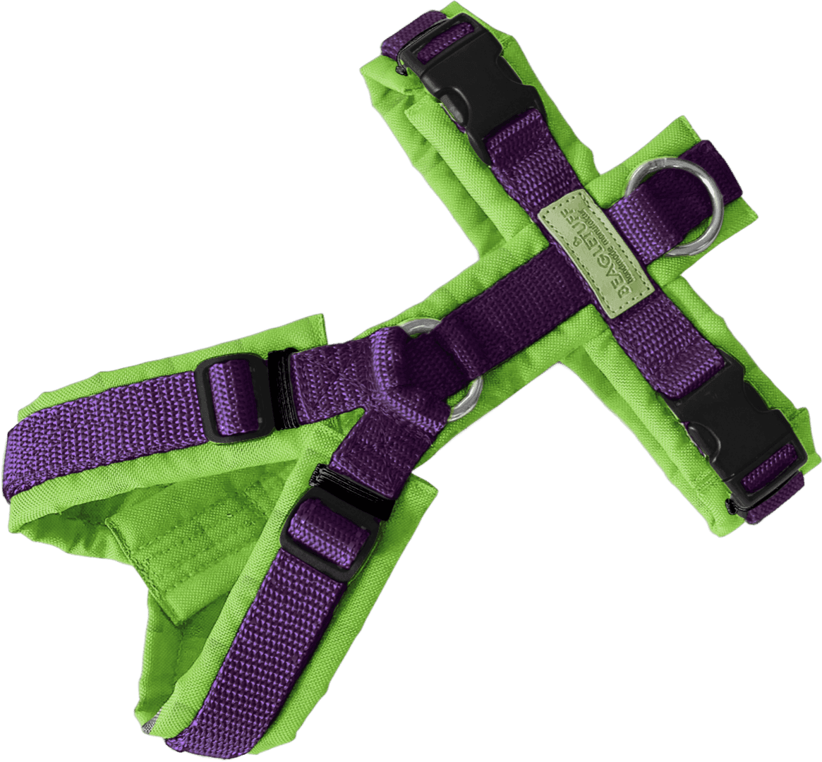 BT EasyWalk® Standard – Uni Lila/Neon Grün - Beagletuff