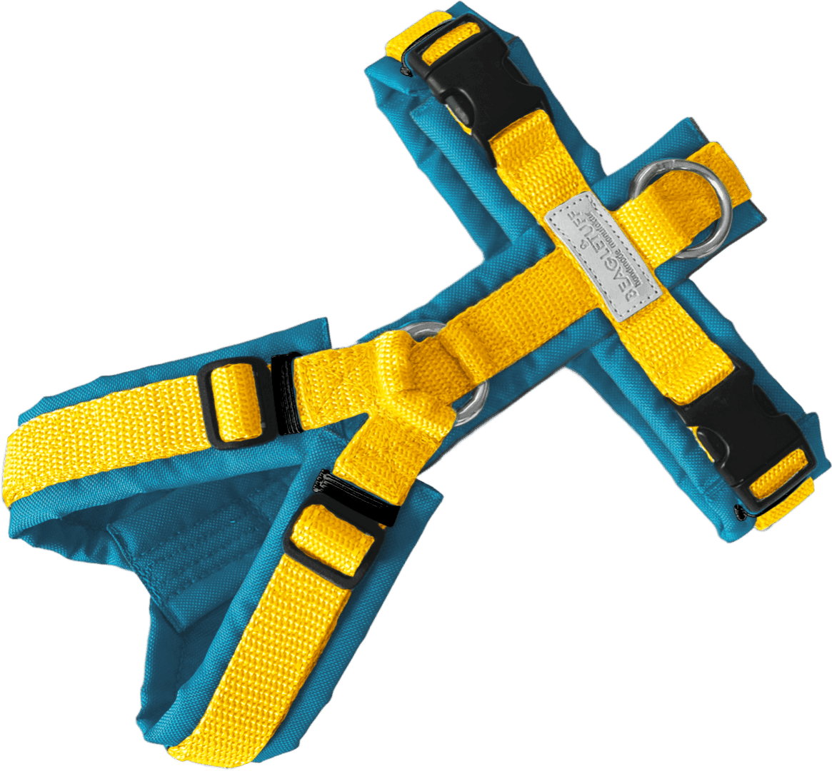 BT EasyWalk® Standard – Uni Gelb/Aquatürkis - Beagletuff