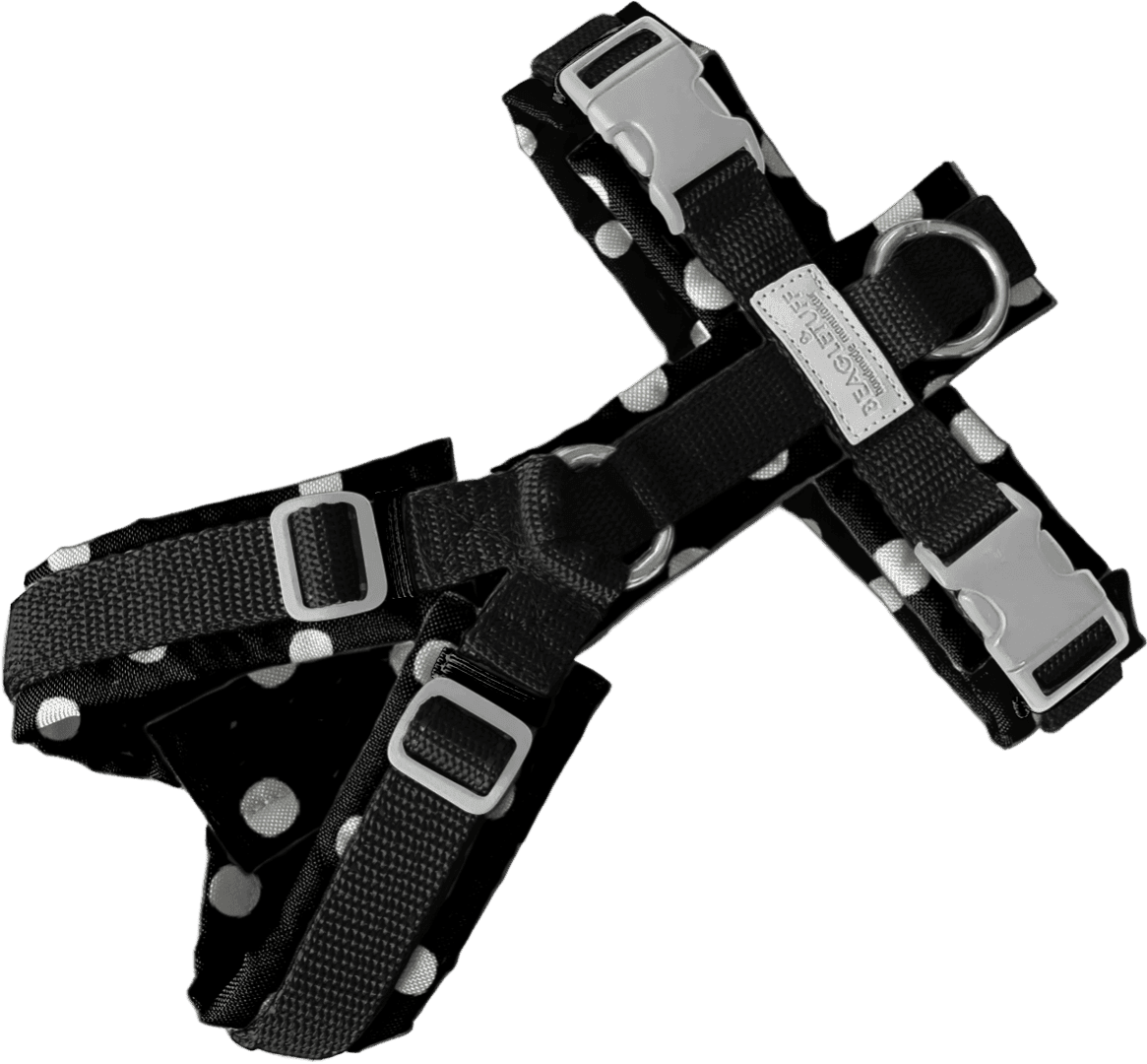 BT EasyWalk® Standard – Punkte Schwarz/Weiß mit ZDG Silber - Beagletuff