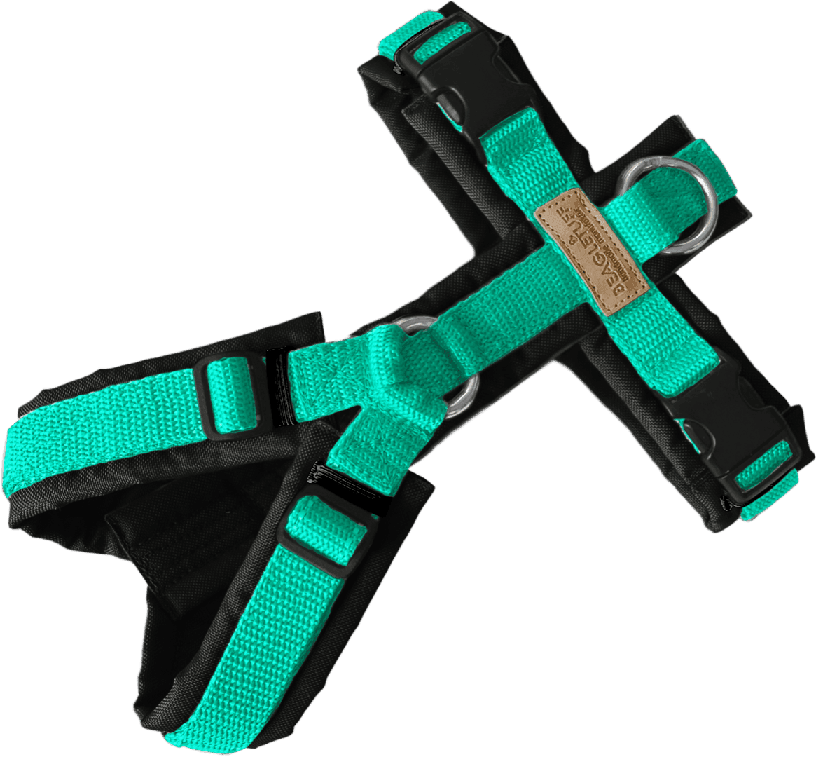 BT EasyWalk® Standard – Uni Minze/Schwarz - Beagletuff