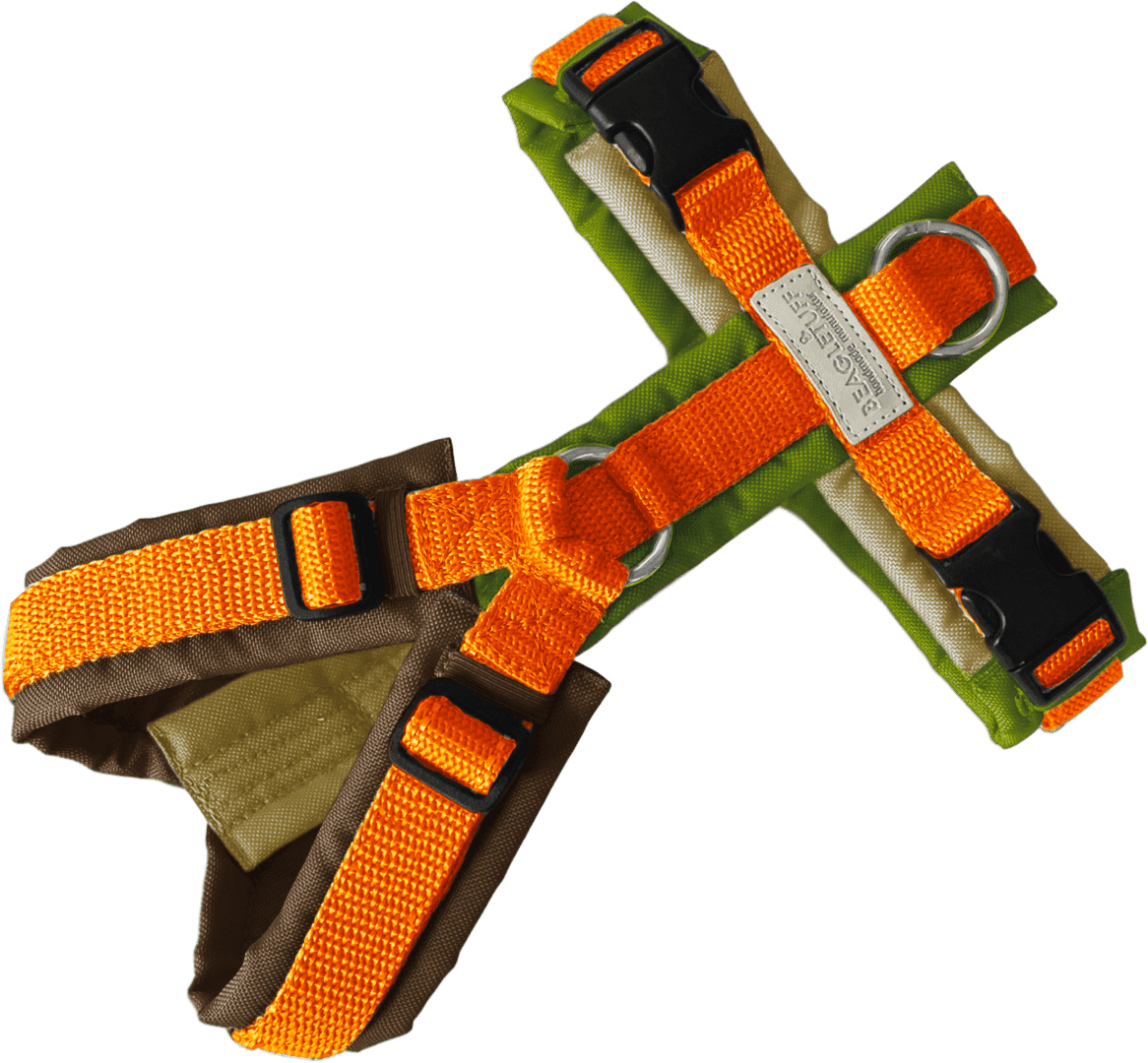 BT EasyWalk® Bunt – Herbstlaub - Beagletuff