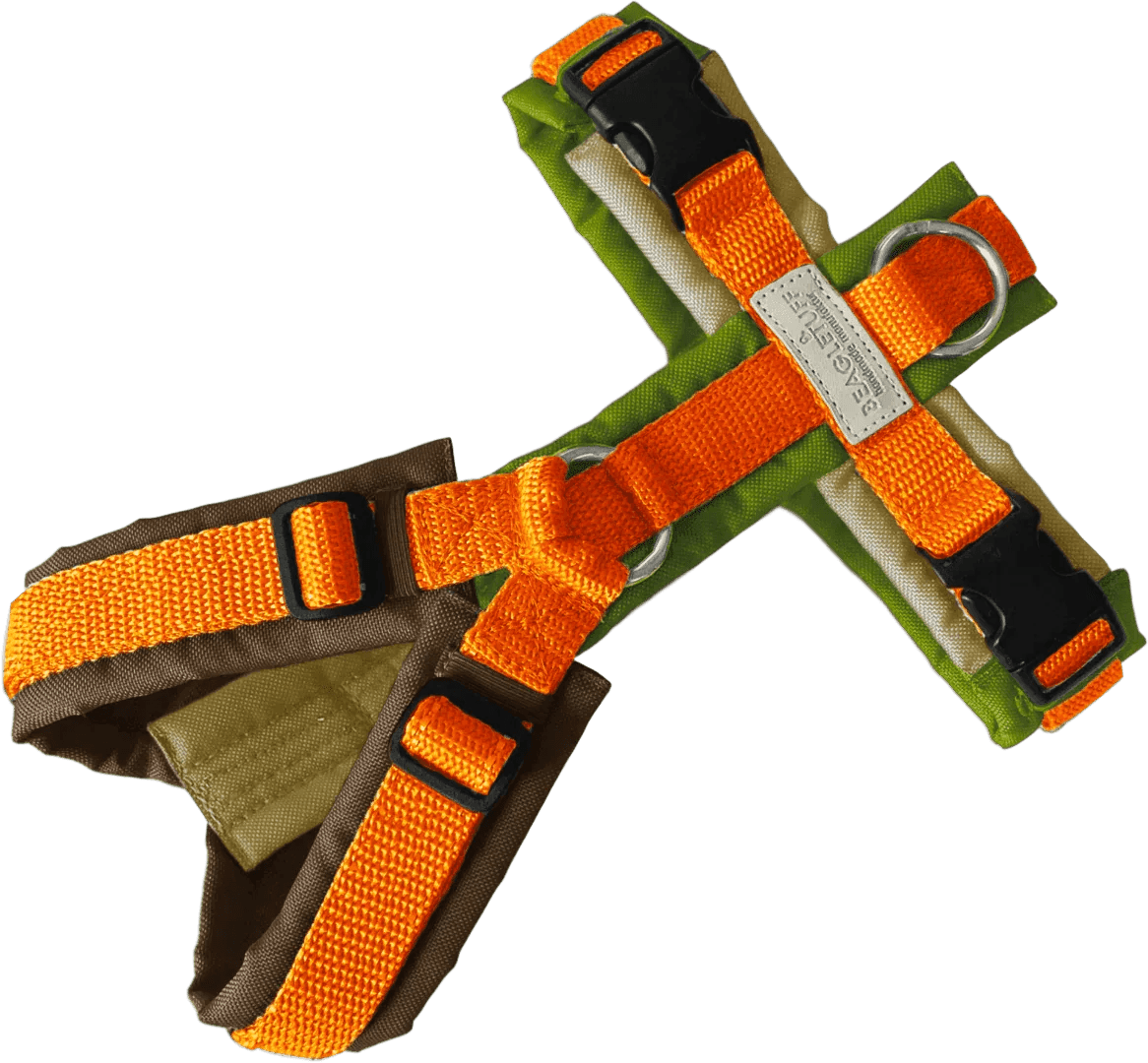 BT EasyWalk® Bunt – Herbstlaub - Beagletuff