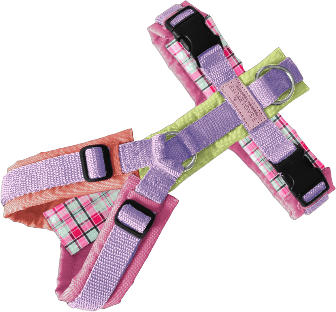 BT EasyWalk® Bunt – Karo Pink Edition - Beagletuff