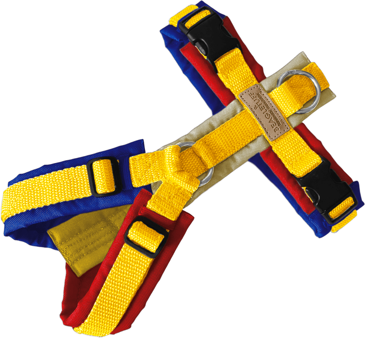 BT EasyWalk® Bunt – Primärfarben Edition - Beagletuff