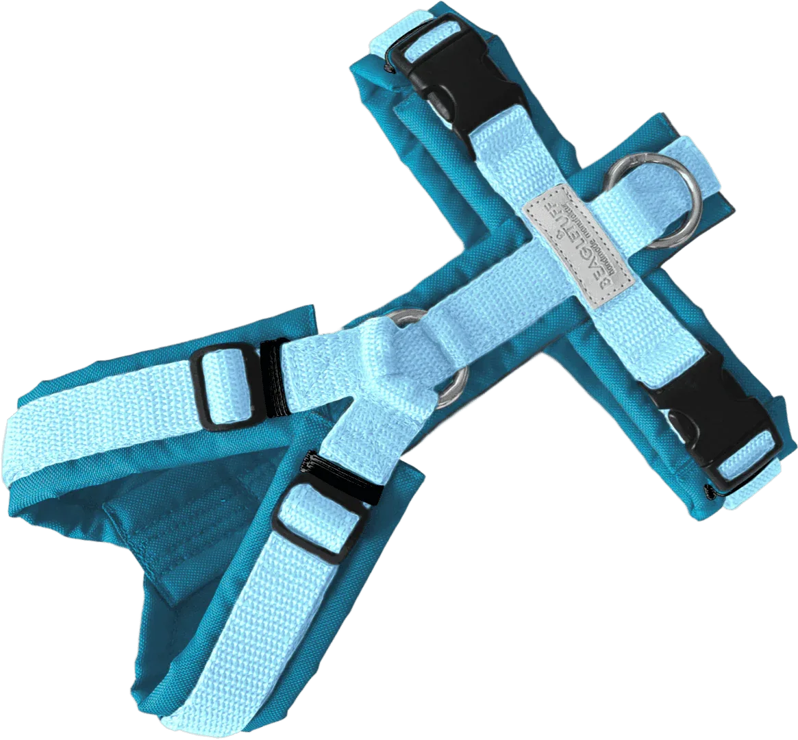 BT EasyWalk® Standard – Uni Pastellblau/Aquatürkis - Beagletuff