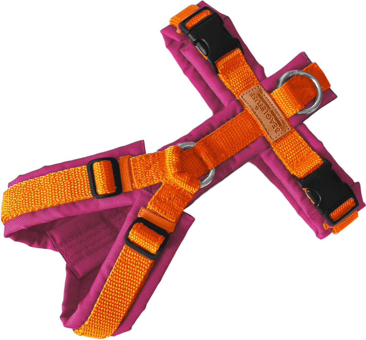 BT EasyWalk® Tira – Hundegeschirr in Orange & Pink - Beagletuff