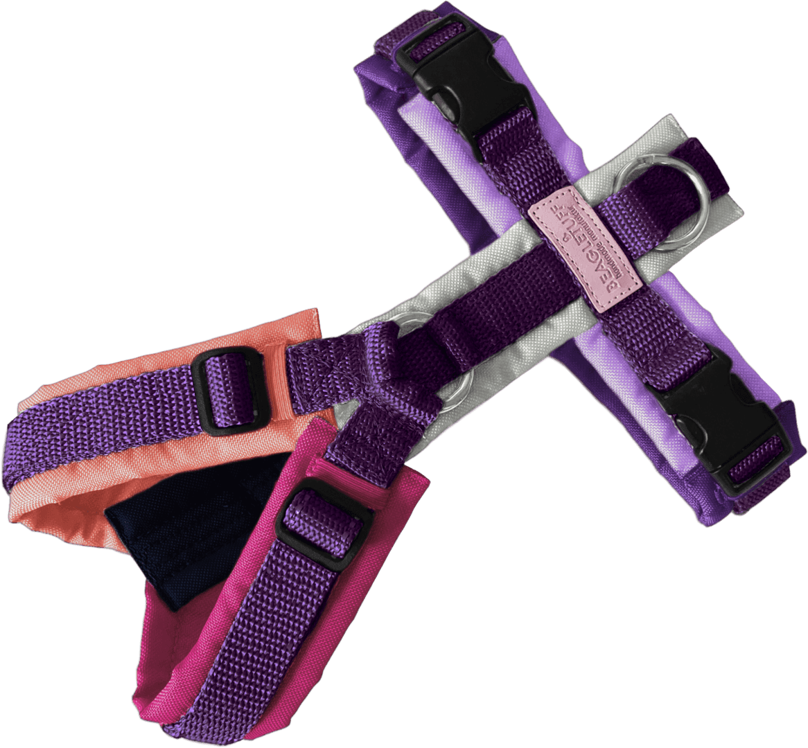 BT EasyWalk® Bunt – Lila Mix - Beagletuff