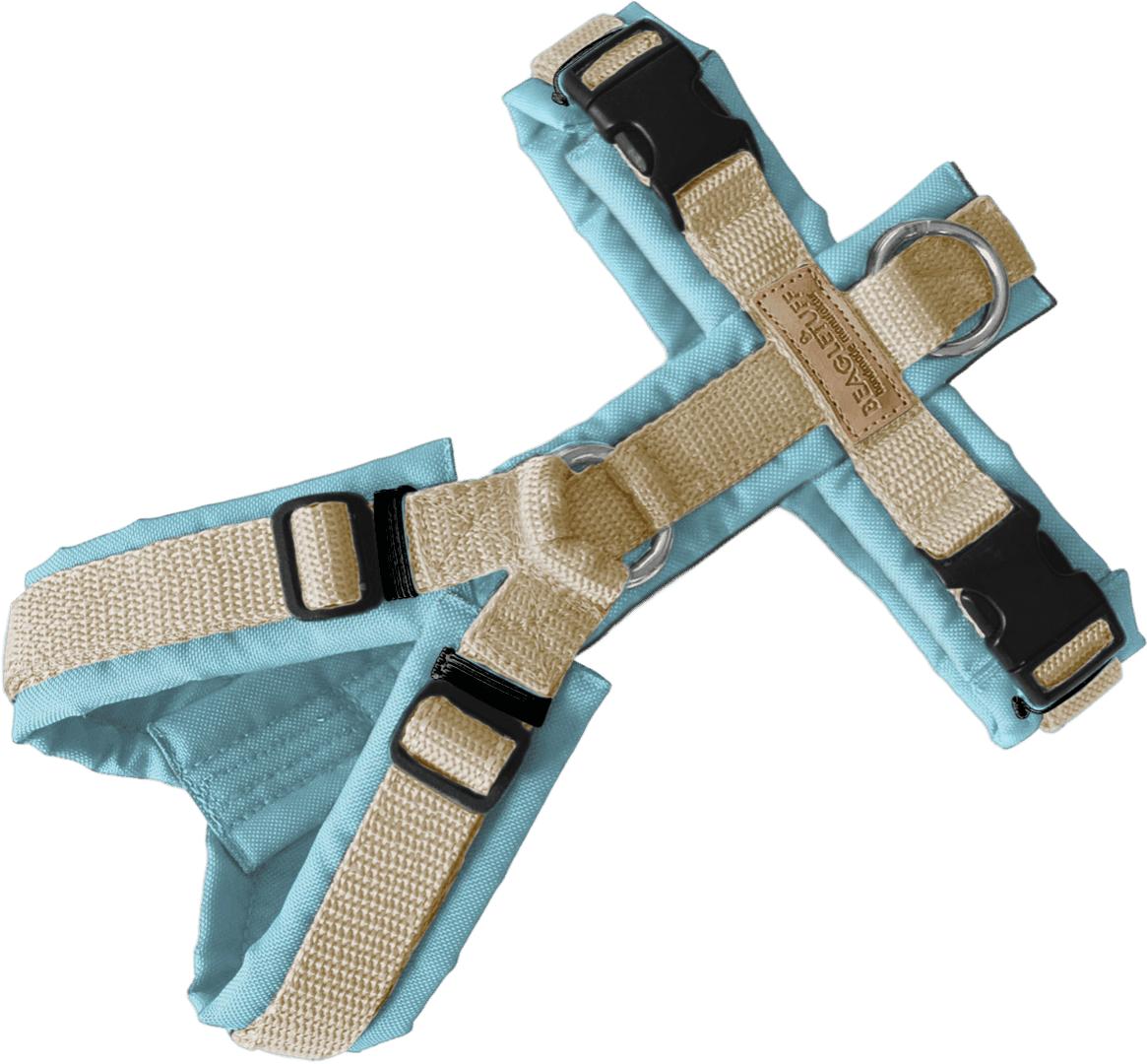 BT EasyWalk® Standard – Uni Hellblau/Beige - Beagletuff