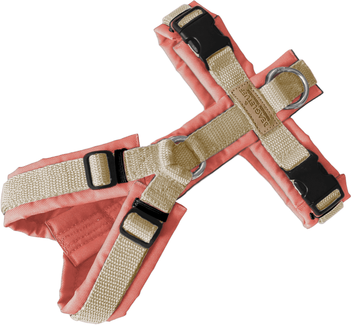 BT EasyWalk® Standard – Uni Lachs/Beige - Beagletuff