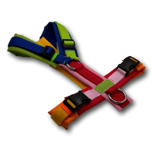 Y-Geschirr BT EasyWalk® Edition Julia bunt - Beagletuff