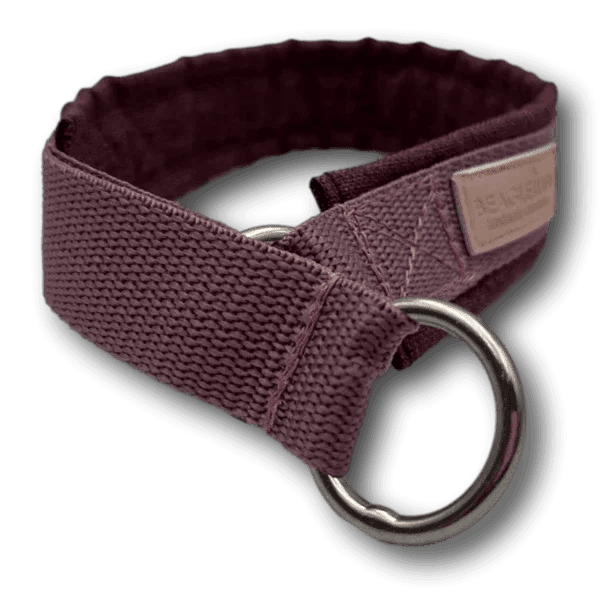 BT Zugstophalsband - Beagletuff