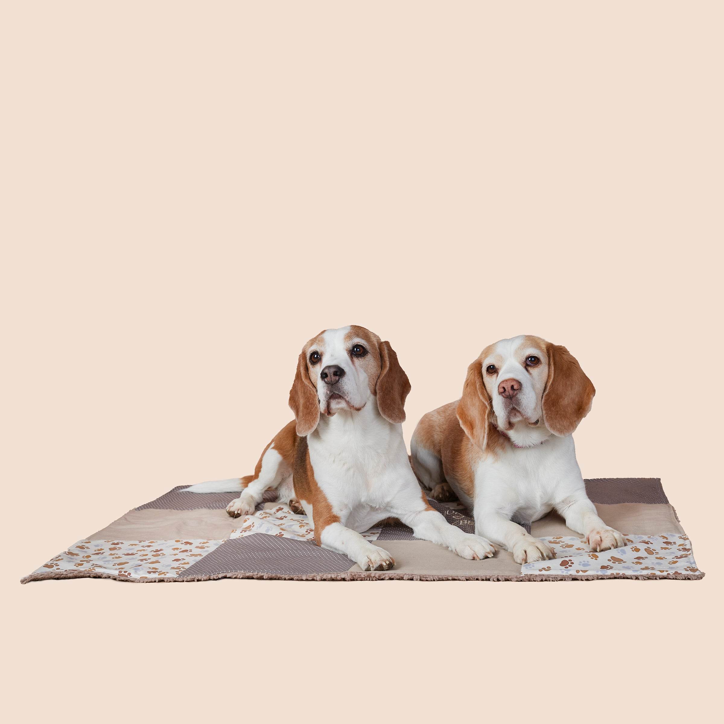 Betten & Decken
