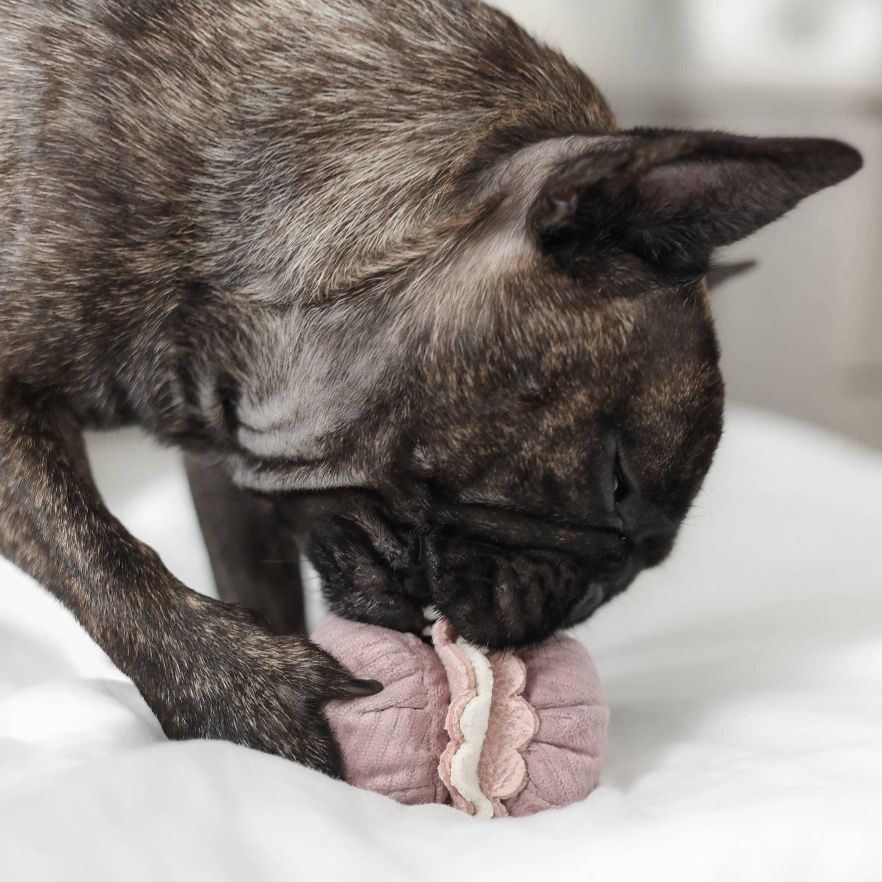 Lambwolf Kleine Zwei Mini-Schnüffelset für kleine Hunde - Beagletuff