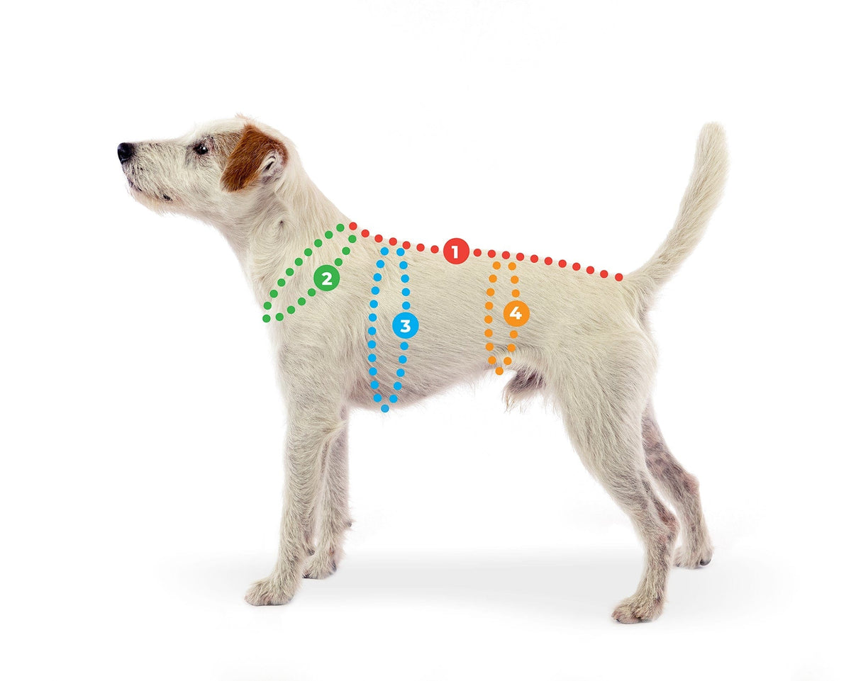 JumppaPomppa Sand Gr. 40, Fleecepullover für Hunde Produktbild von Beagletuff
