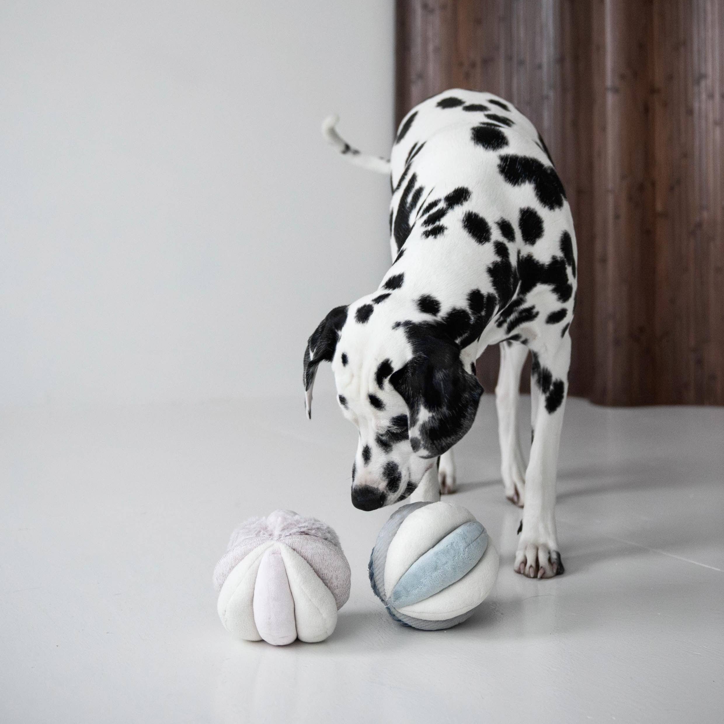 Lambwolf TOTO Schnüffelball für Nasenarbeit und Beschäftigung