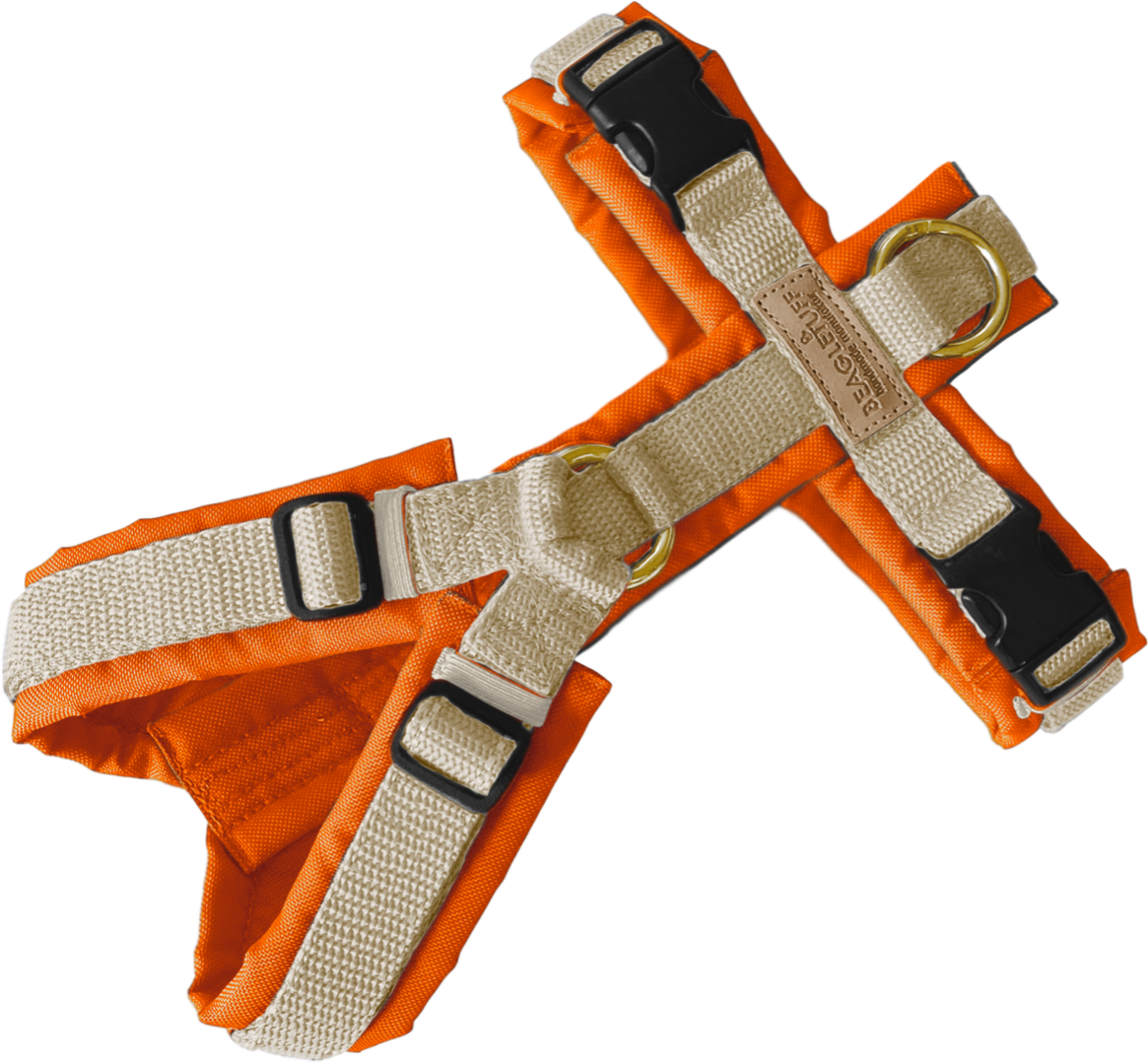 BT EasyWalk Tira Hundegeschirr in Neonorange und Beige, gepolstertes Y-Geschirr mit beigem Gurtband, schwarzen Schnallen und Messingringen.