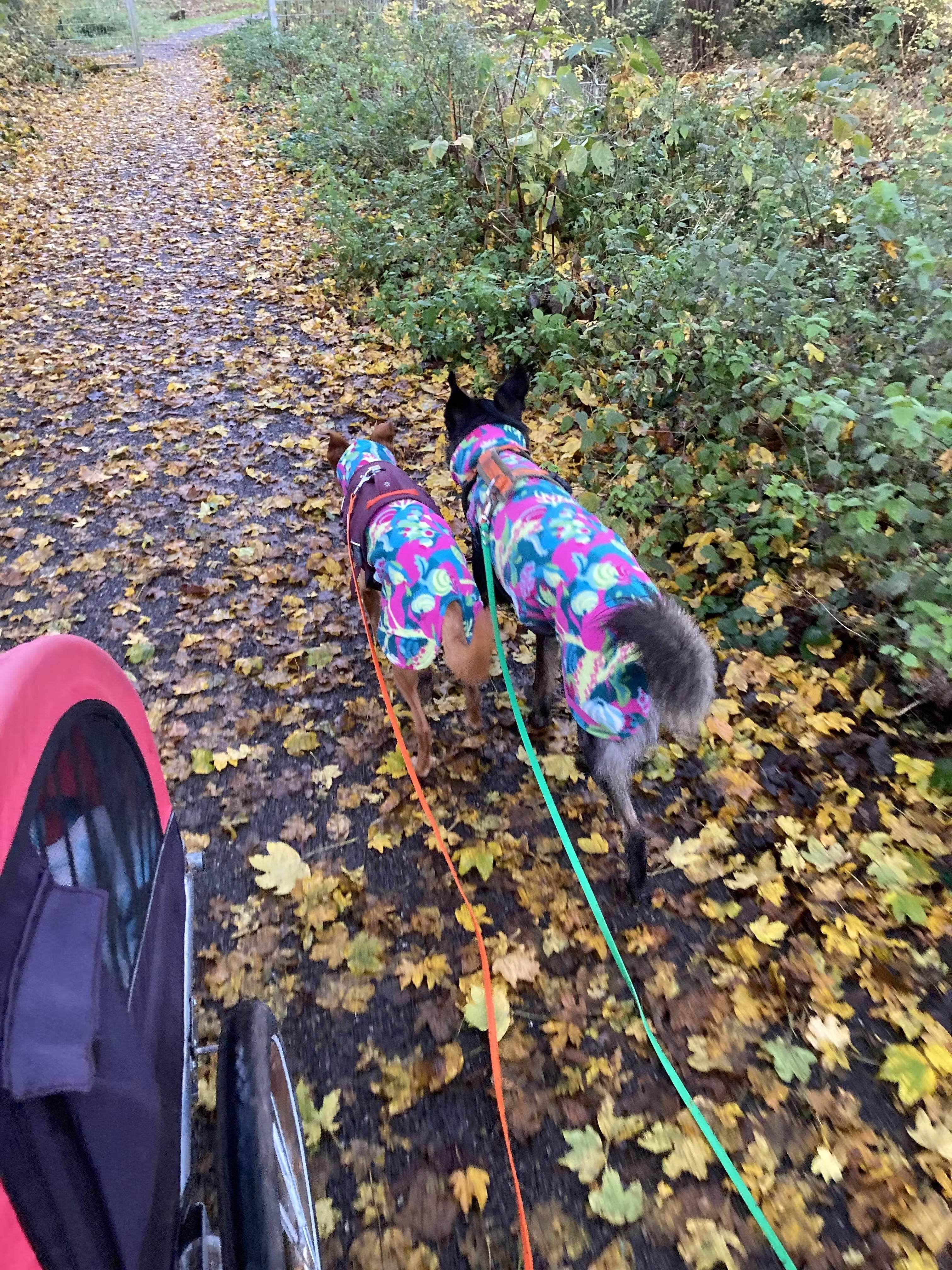 Fleece Pullover JumppaPomppa Trail - Beagletuff