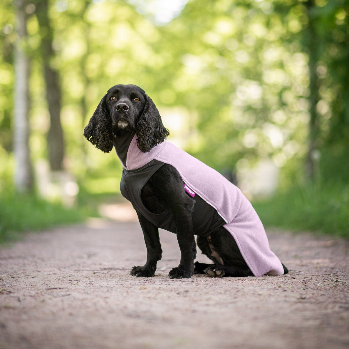 JumppaPomppa Elderberry 44, Fleecepullover für Hunde Produktbild von Beagletuff