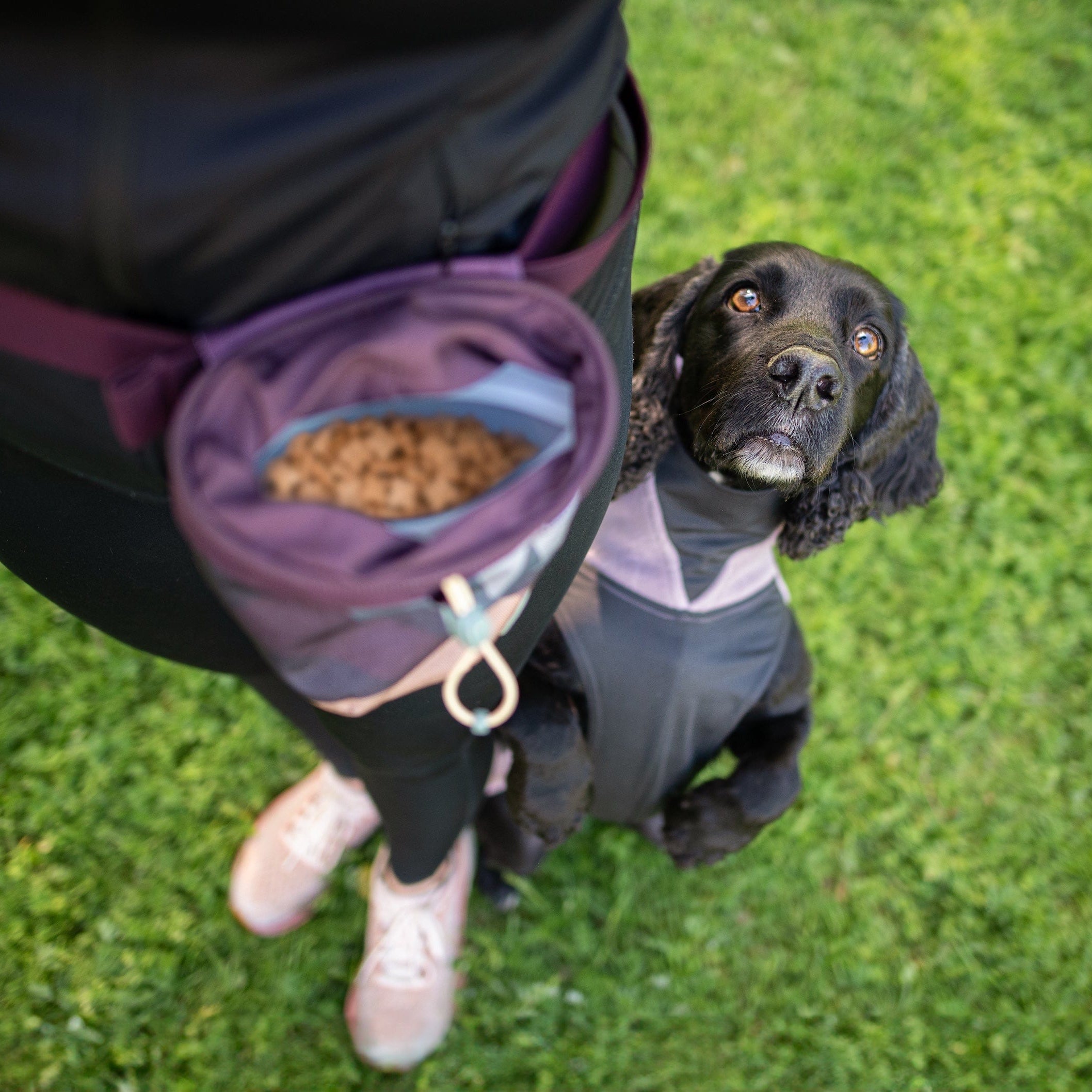 JumppaPomppa Elderberry 44, Fleecepullover für Hunde Produktbild von Beagletuff