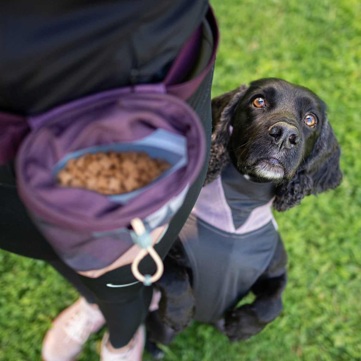 JumppaPomppa Elderberry 44, Fleecepullover für Hunde Produktbild von Beagletuff