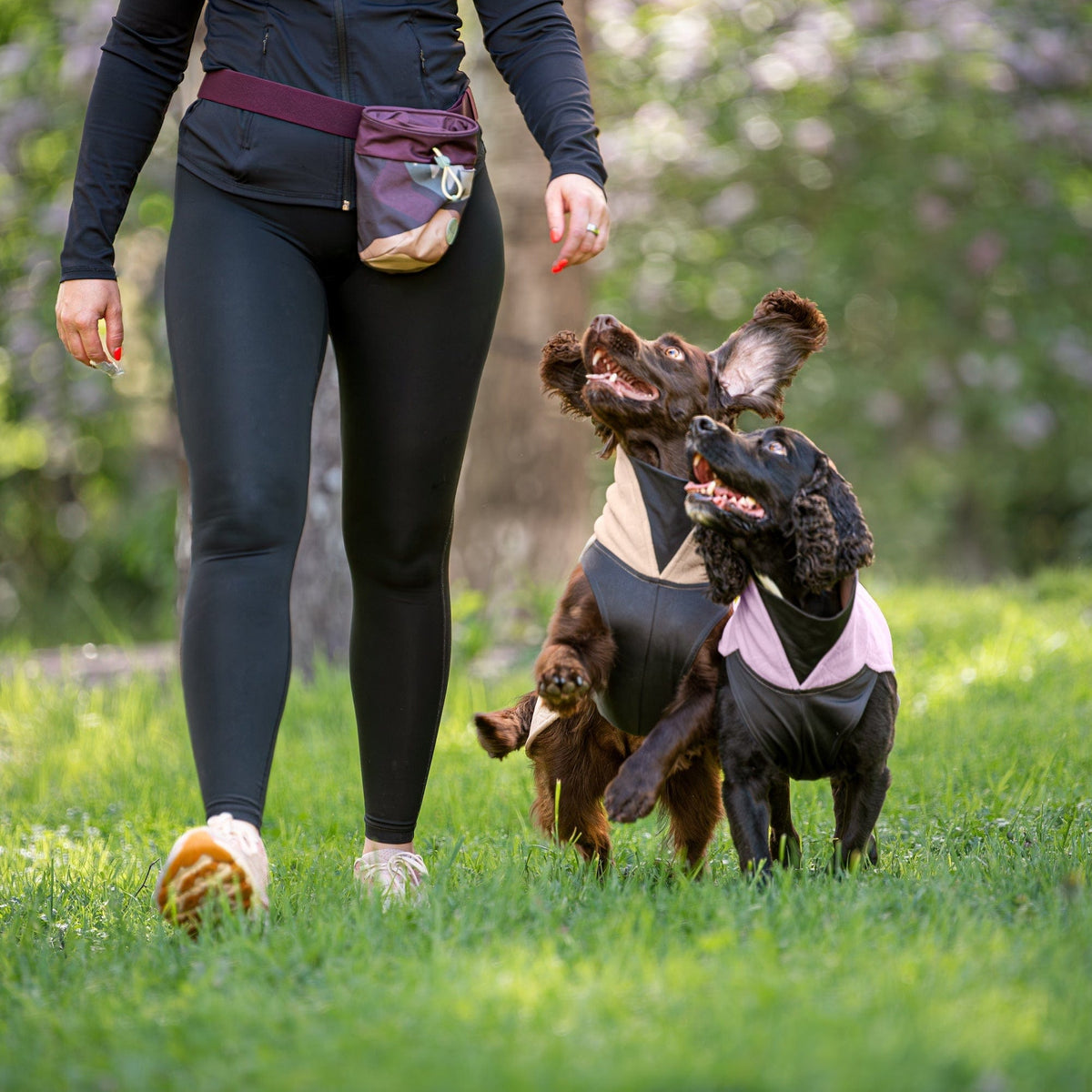 Zwei braune Hunde mit lockigem Fell und großen, bewegten Ohren tragen schwarze und beige sowie schwarze und altrosa Fleecepullover für Hunde