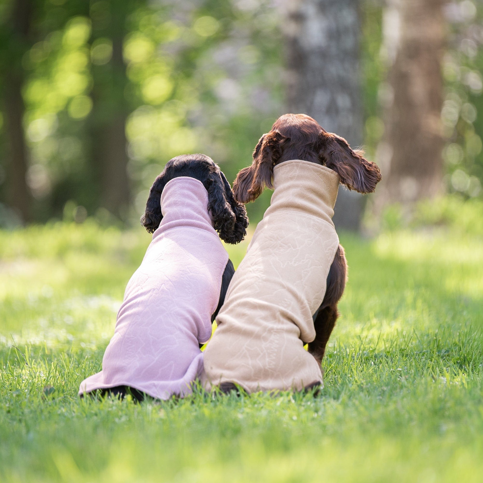 Zwei dunkle Hunde sitzen nebeneinander auf grünem Gras, beide tragen Fleecepullover in Pastellfarben, links in Altrosa und rechts in Beige, 