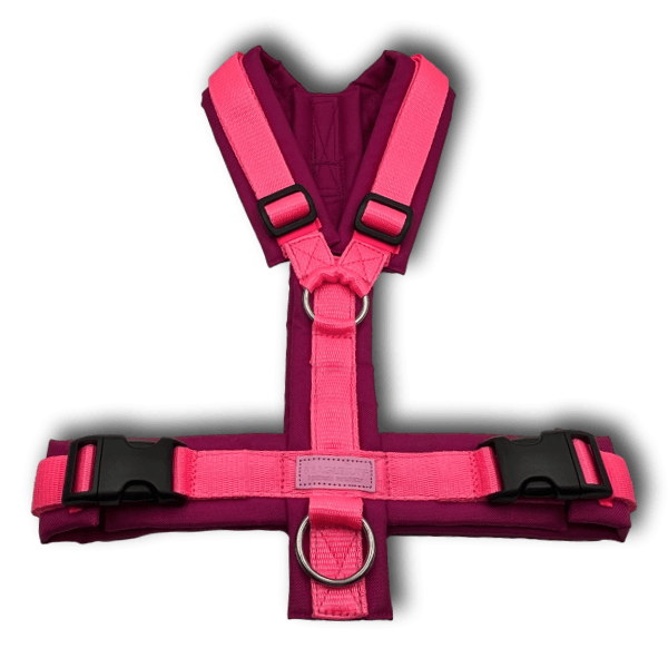 Y-Geschirr BT EasyWalk® Neon Edition pink - Beagletuff