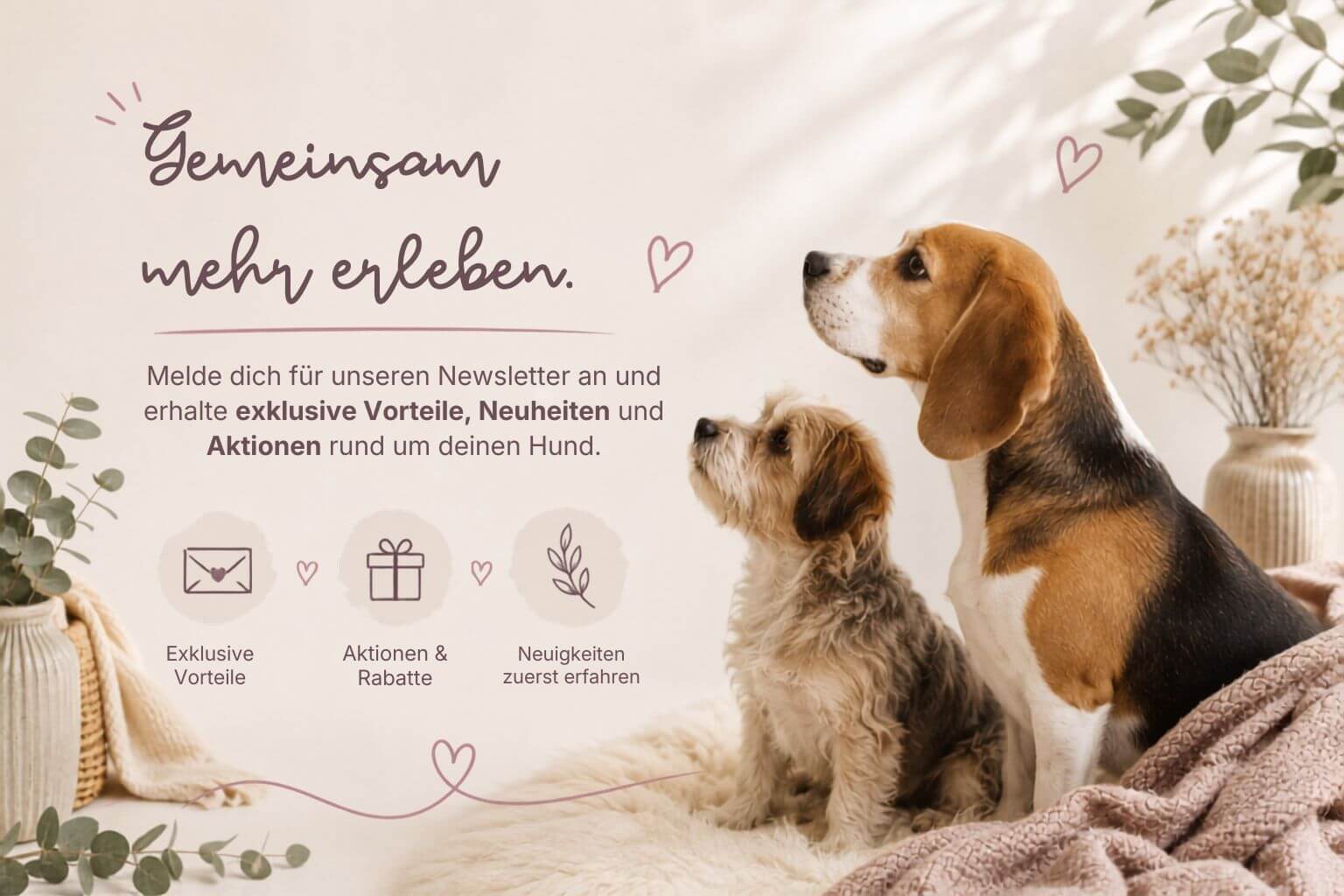 Newsletter-Grafik von BEAGLETUFF® mit Beagle und kleinem Hund sowie dem Text „Gemeinsam mehr erleben“ und Hinweisen auf exklusive Vorteile, Aktionen, Rabatte und Neuheiten.