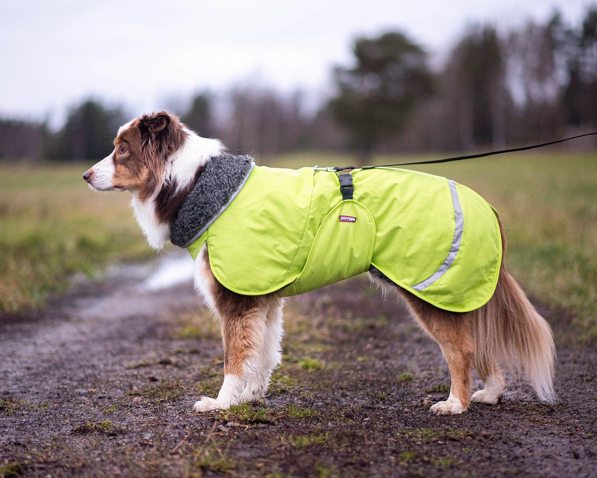 PerusPomppa - Wintermantel | Gr. 44 | Lime - Beagletuff
