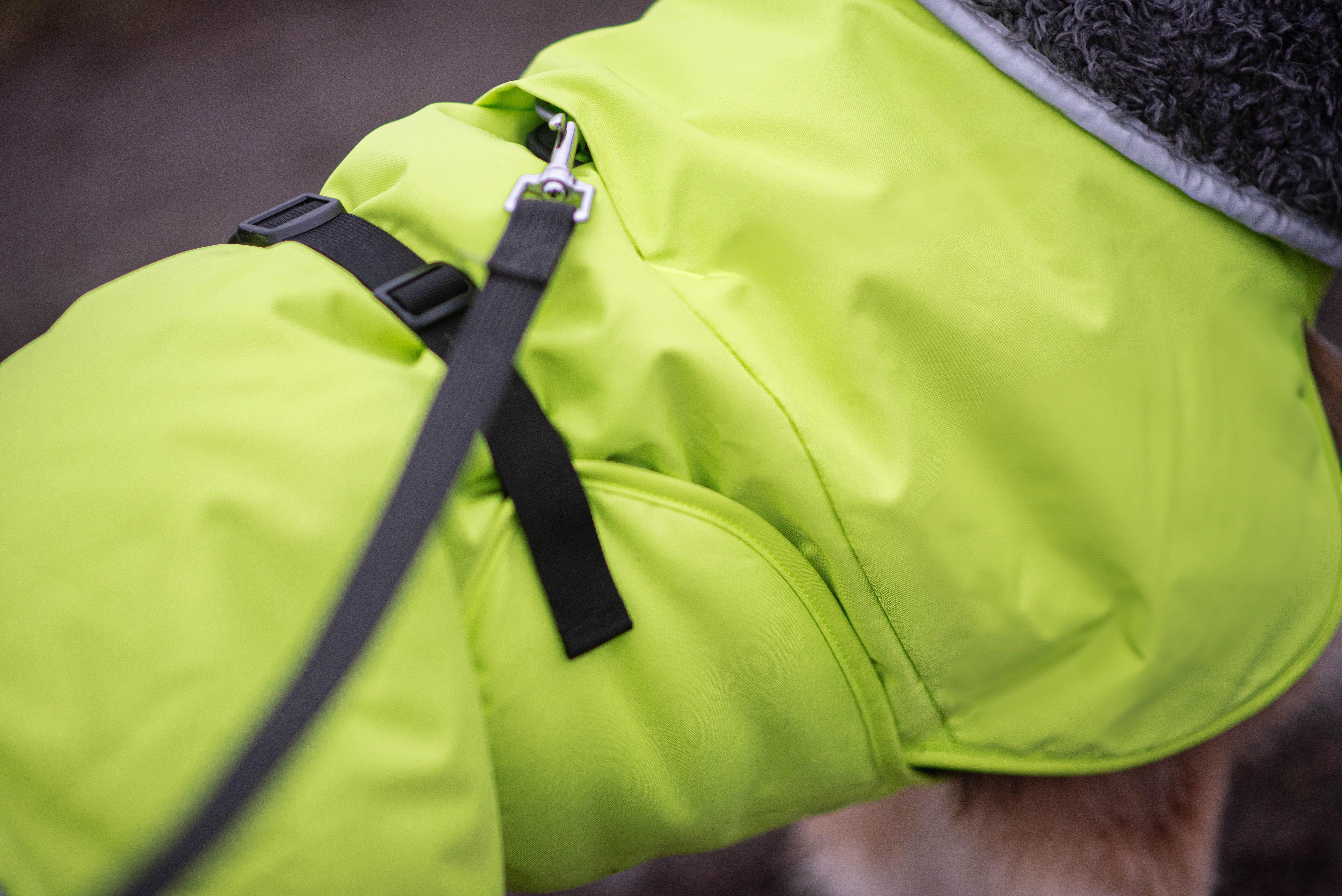 PerusPomppa - Wintermantel | Gr. 44 | Lime - Beagletuff