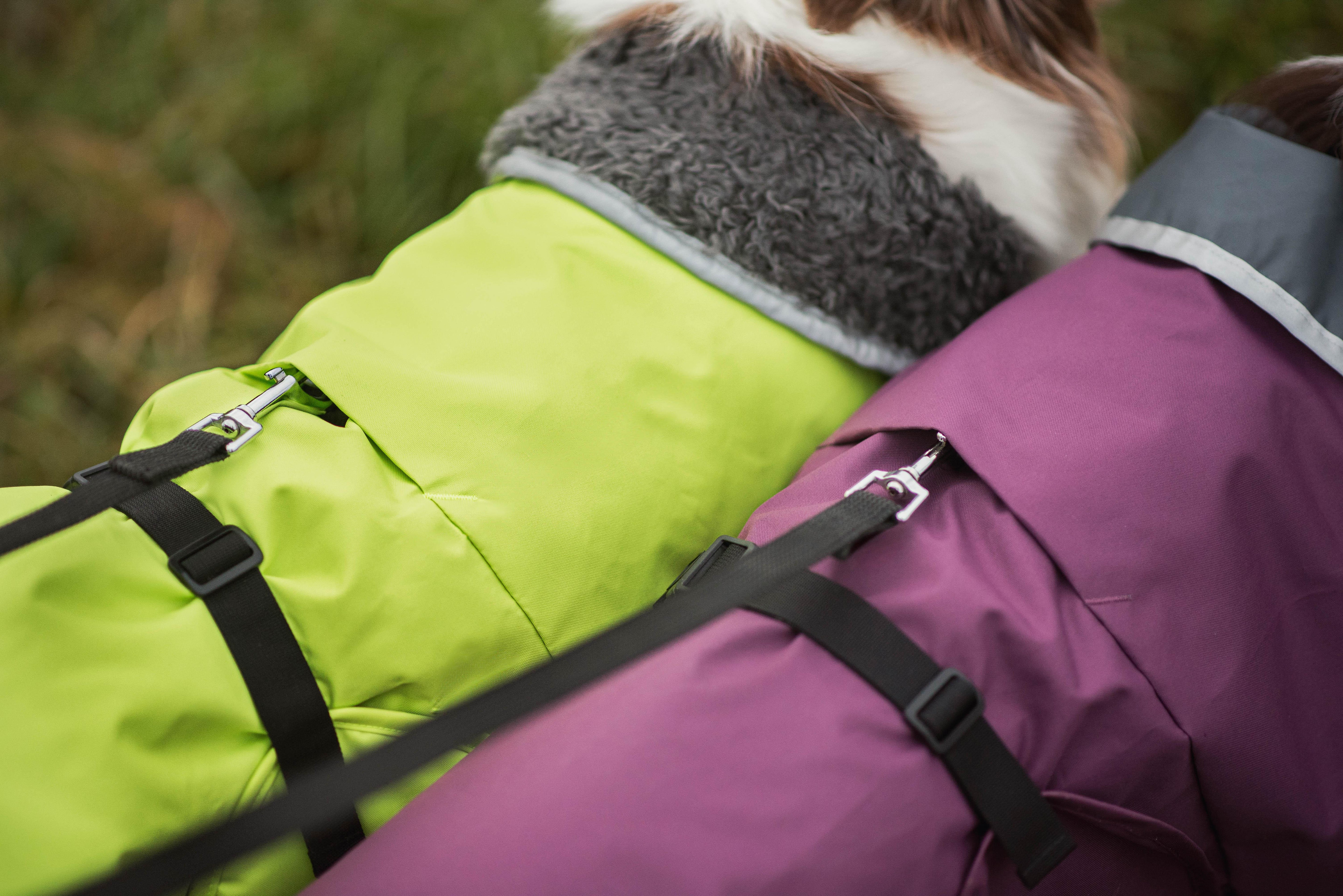 PerusPomppa - Wintermantel | Gr. 44 | Lime - Beagletuff