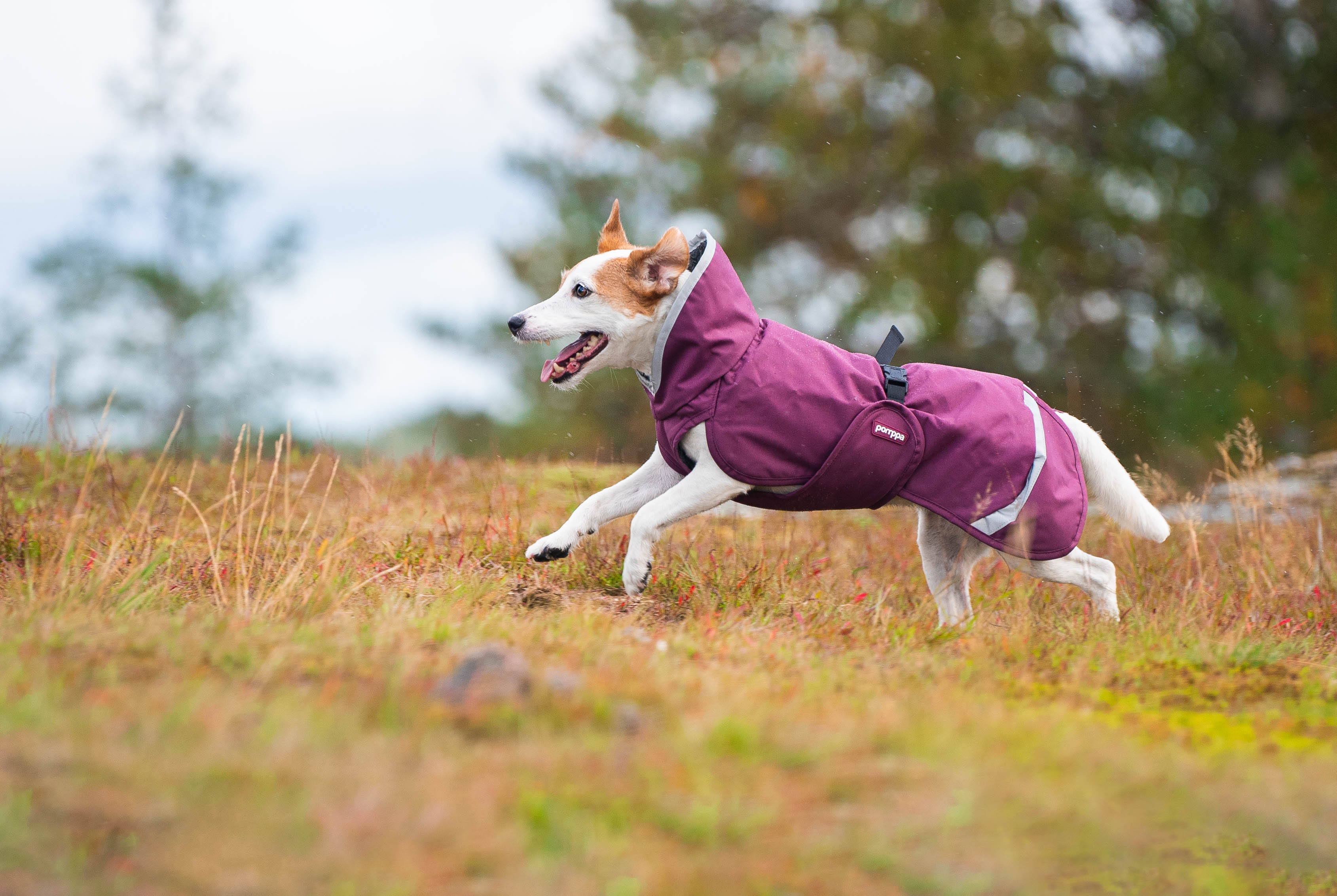 PerusPomppa - Wintermantel | Gr.40 | Plum